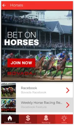 Guide for Bovada Casino android App screenshot 7